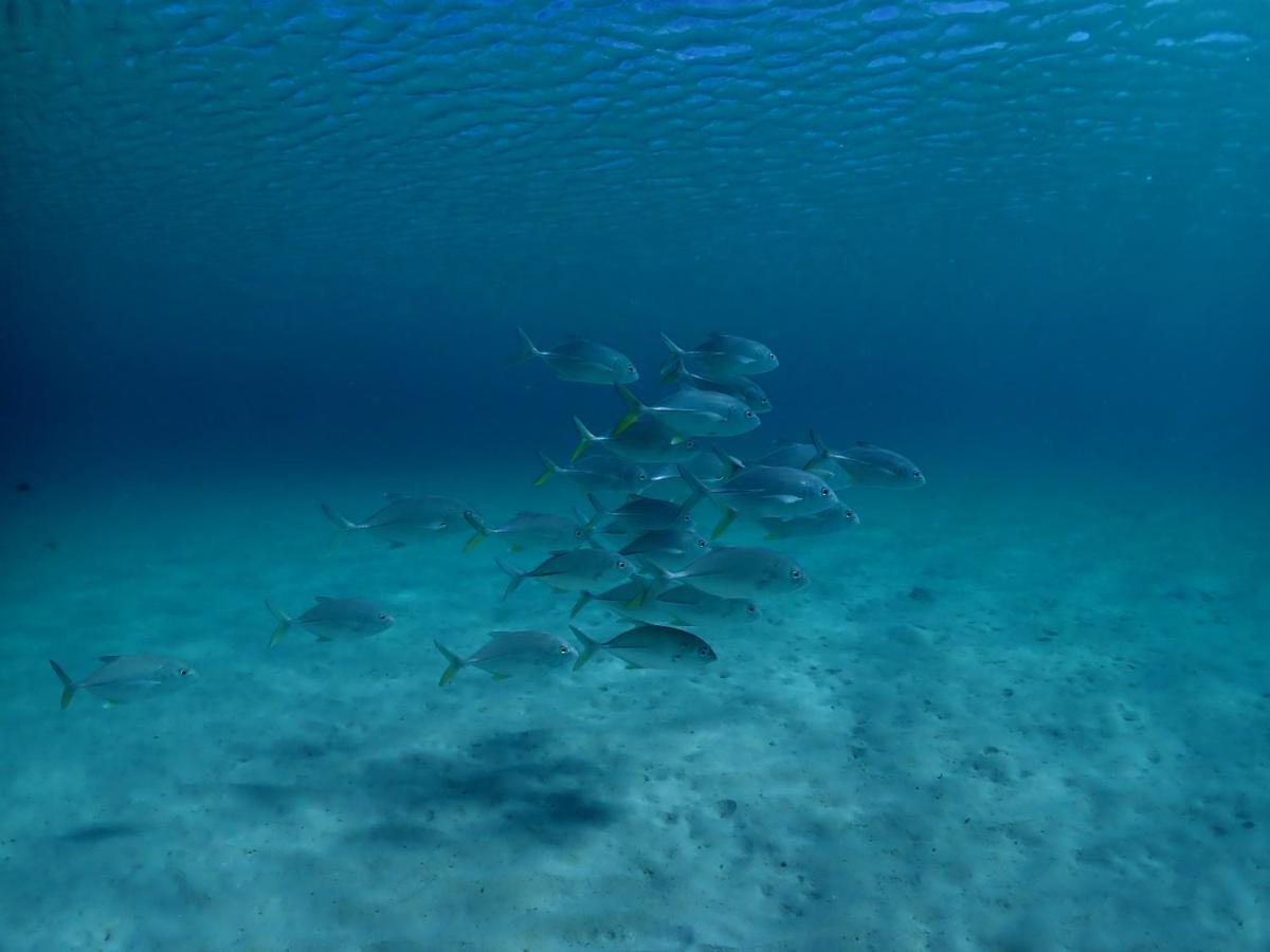 Paradise Cove Resort Naukacuvu Island Luaran gambar